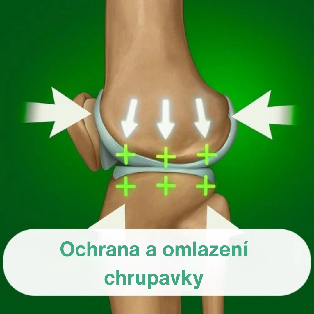 OrthoKnee™ – Dlouhodobá úleva od artritidy a bolesti kloubů